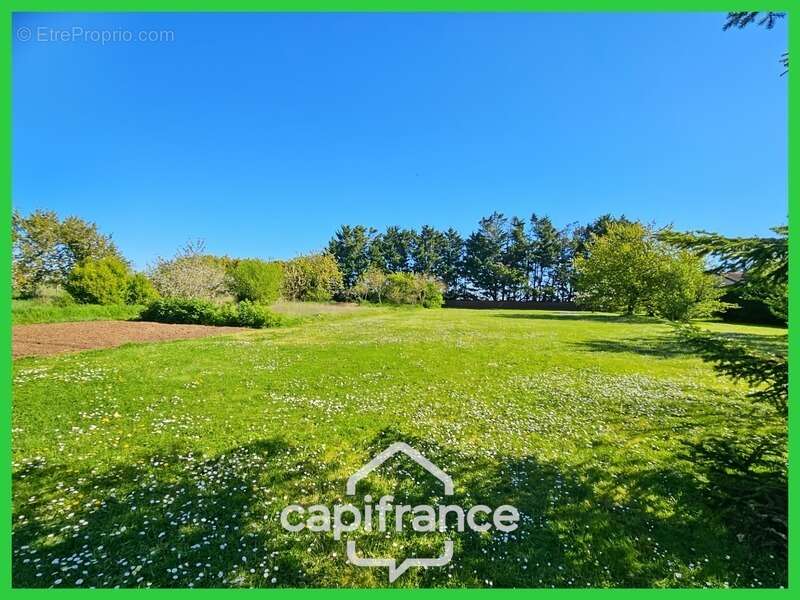 Terrain à BUXEROLLES