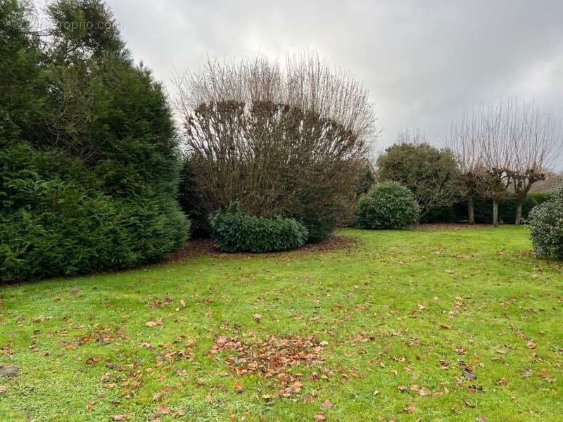Terrain à SAINT-CREPIN-IBOUVILLERS