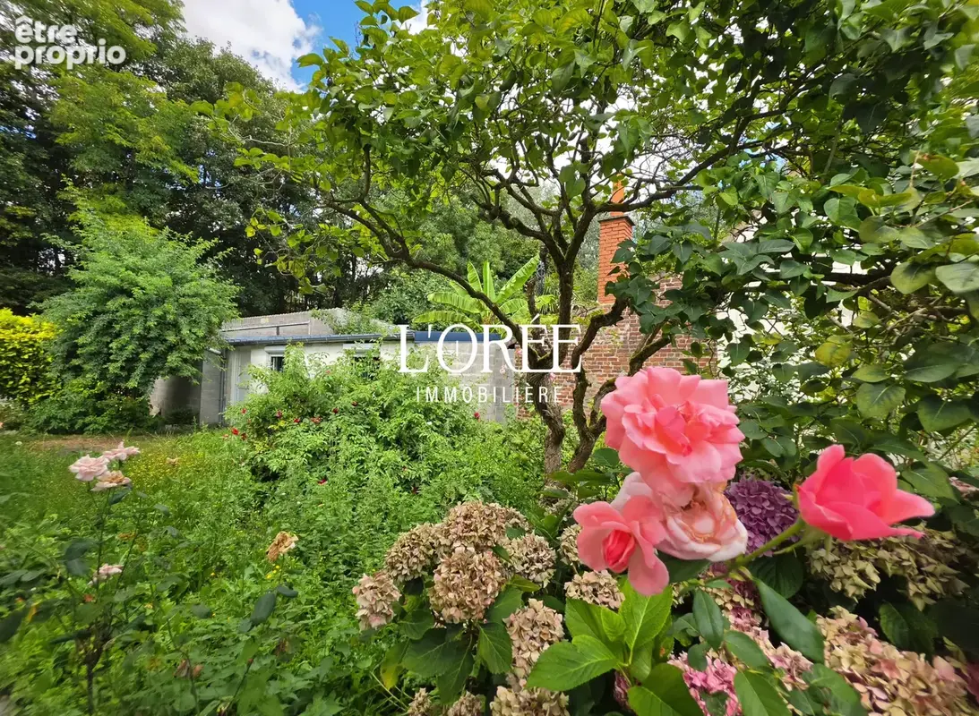 Plain pied individuel - 75m2 - 1 chambre - 1 bureau - jardin - garage - photo 10