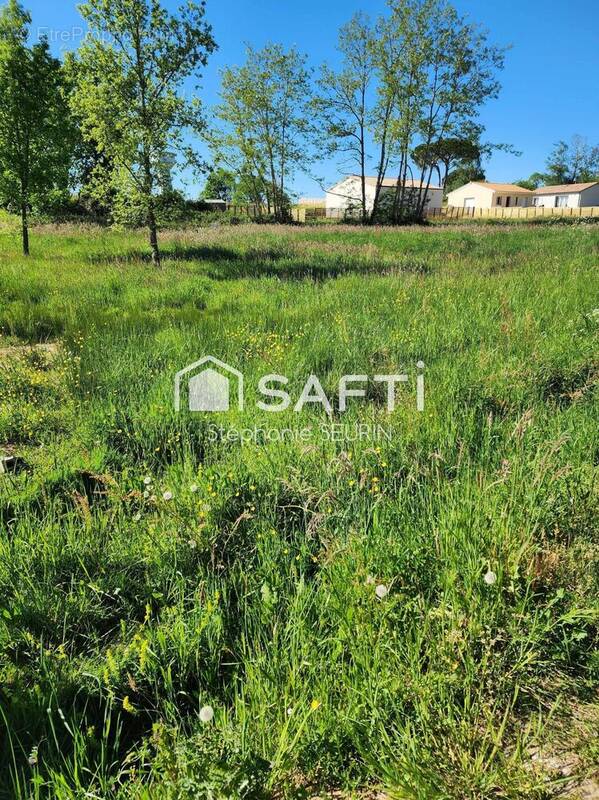 Photo 1 - Terrain à MONTGUYON