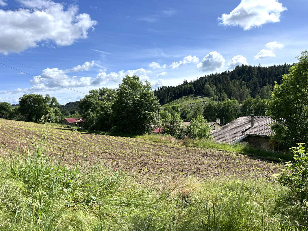 Maison à ALLEGRE