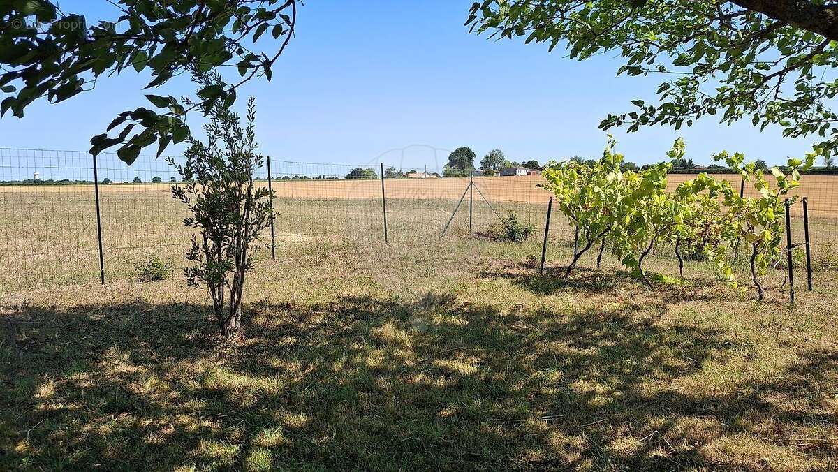 Maison 3 chambre(s) à vendre - photo 20