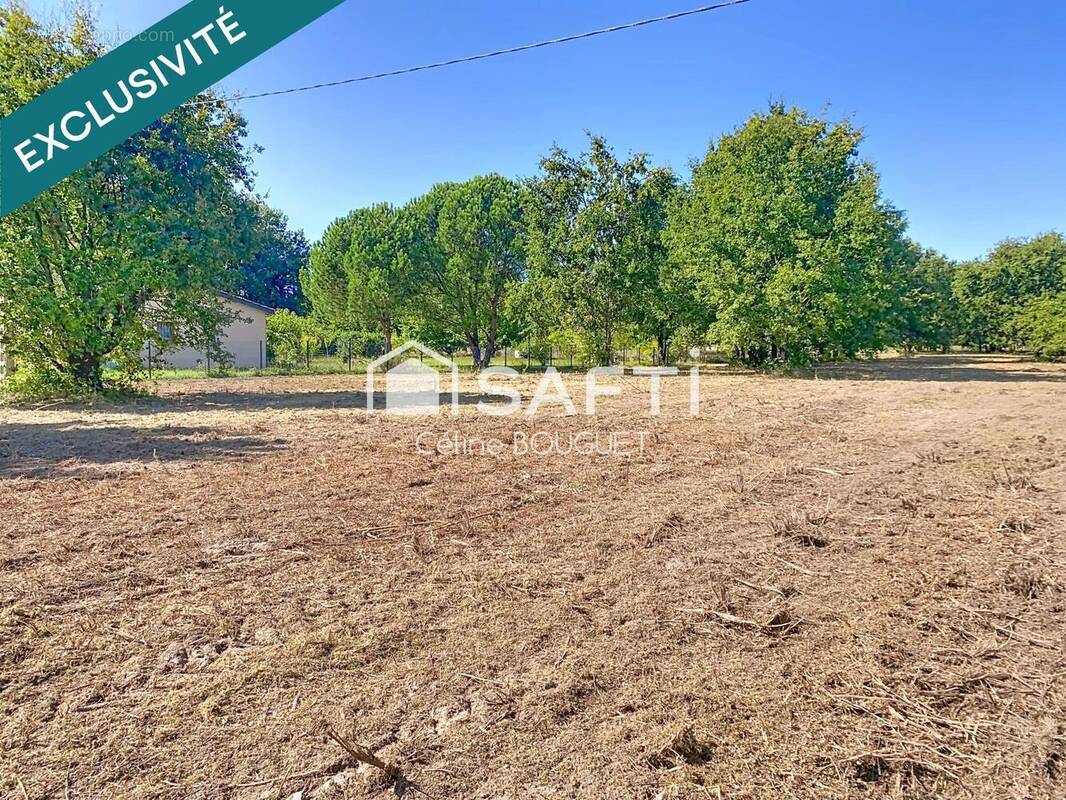 Photo 1 - Terrain à LAMOTHE-CAPDEVILLE