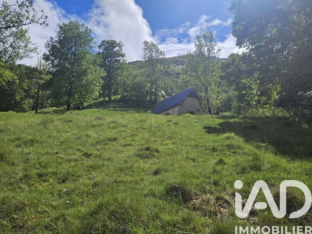 Photo 1 - Maison à ARRENS-MARSOUS