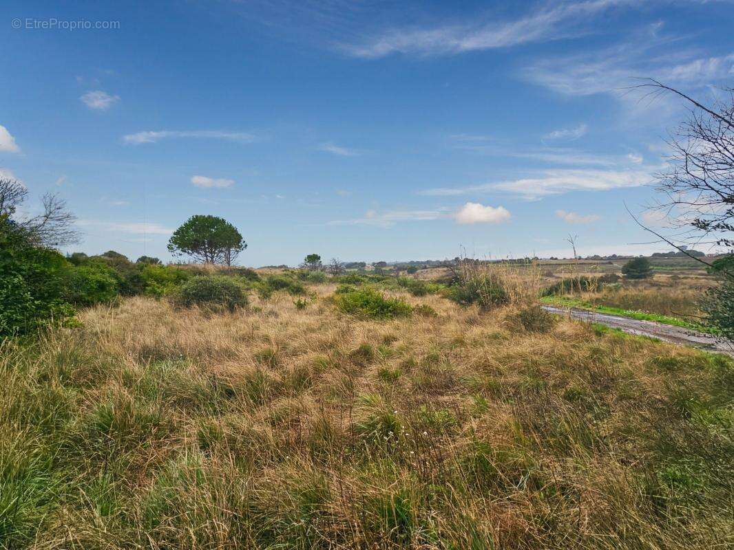À Vendre - à Loupian - Terrain agricole de 1388m² - photo 2