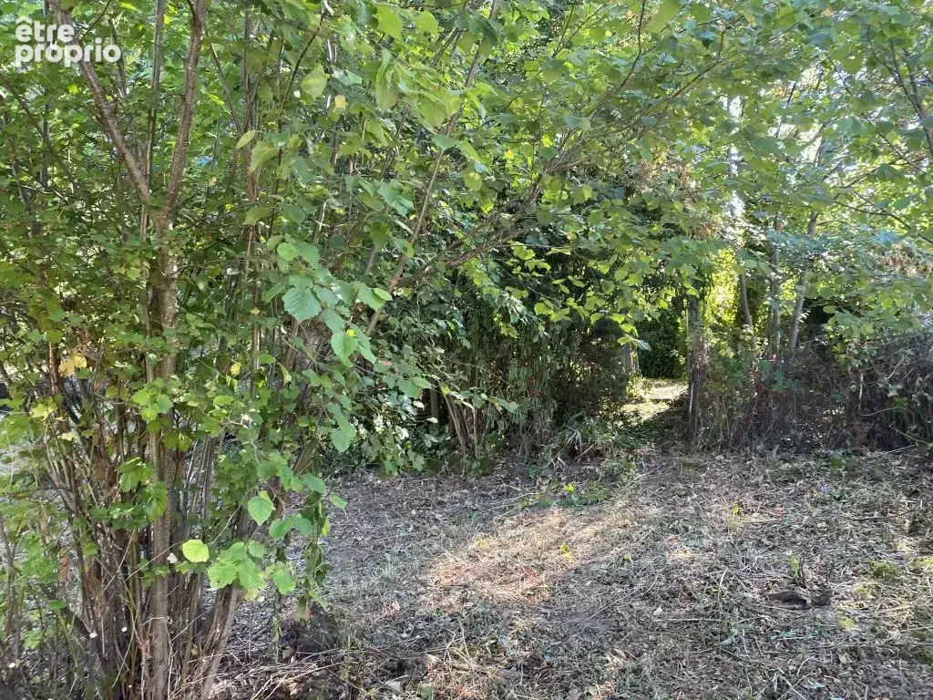 Maison 103 m² à Royere-De-Vassiviere  - photo 5