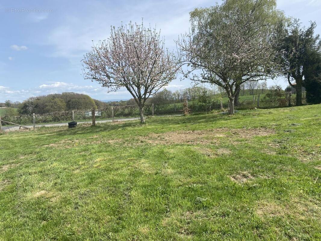 Terrain à PRUNET