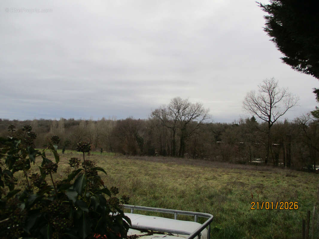 Terrain à CEAUX-EN-COUHE