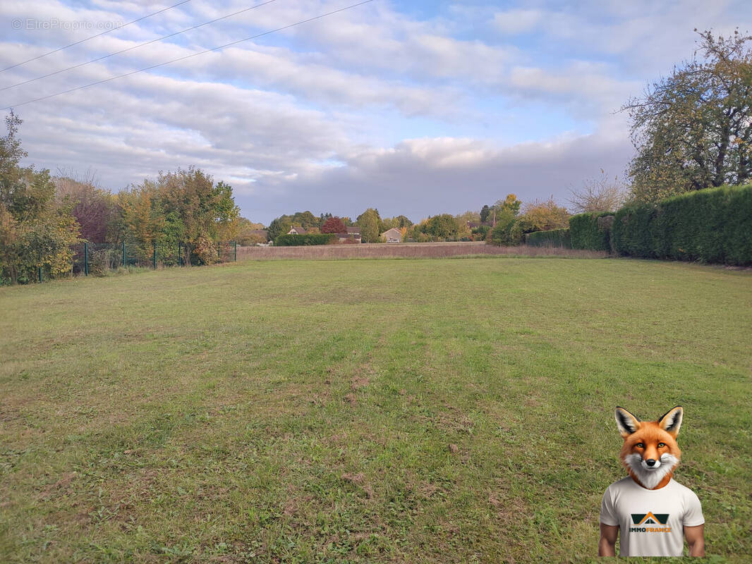 Terrain à FERREUX-QUINCEY