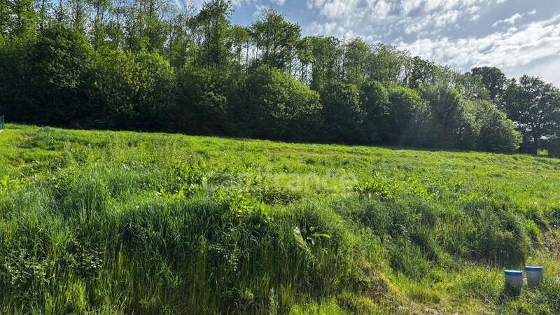 Terrain à MONTREUIL-SOUS-PEROUSE