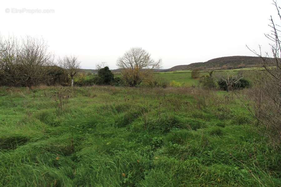 Maison à BRINON-SUR-BEUVRON