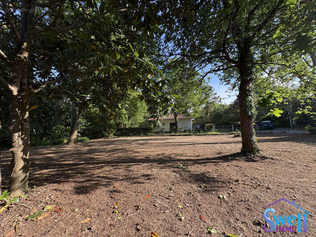 Terrain à MESSANGES