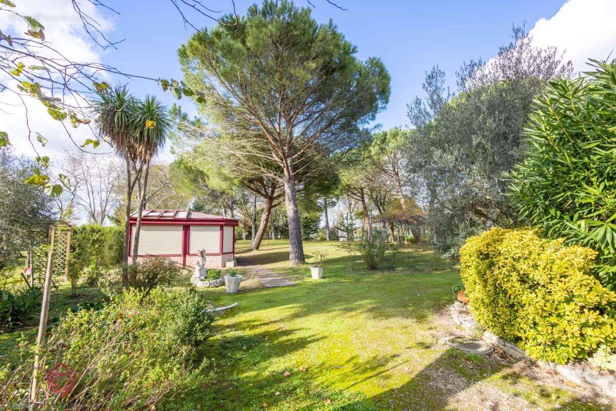 Maison à VILLEFRANCHE-DE-LAURAGAIS