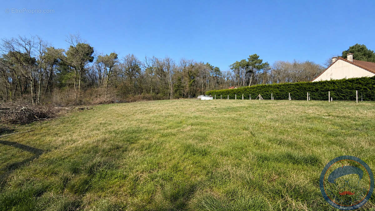 Terrain à SAINT-BENOIT-LA-FORET
