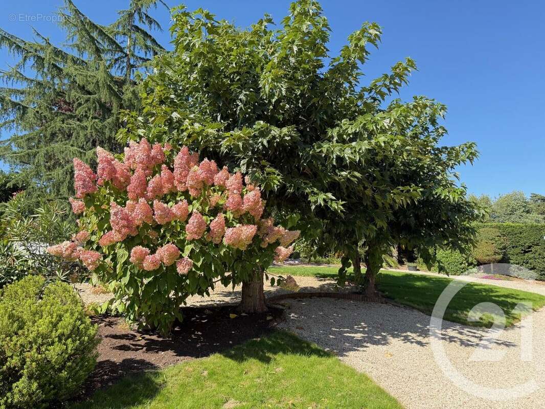 Maison à BOUCHEMAINE