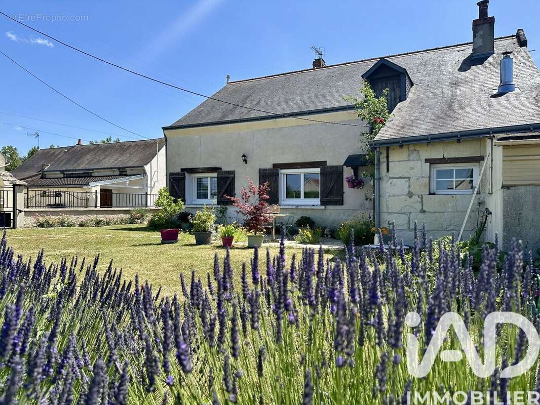 Photo 3 - Maison à CHOUZE-SUR-LOIRE