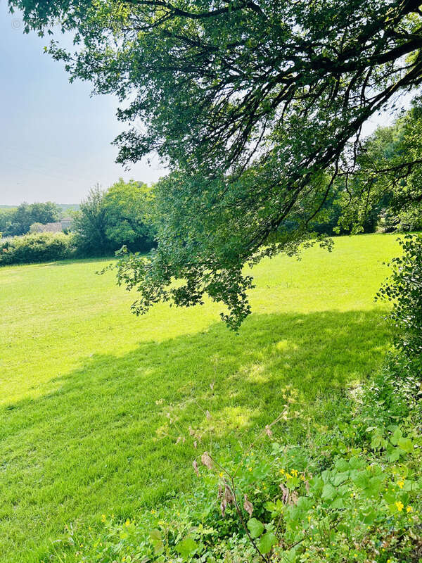 Maison à MONTAIGU-DE-QUERCY