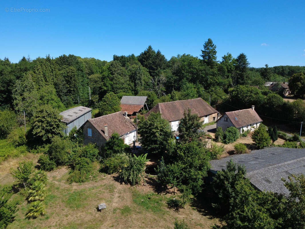 Coussac Bonneval : Authentique corps de ferme sur 4,2 hectares - photo 8