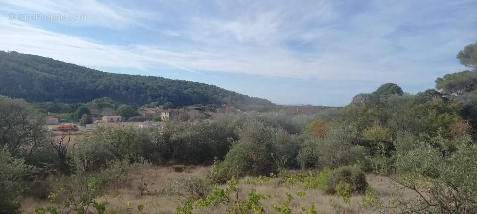 Terrain à BIZE-MINERVOIS