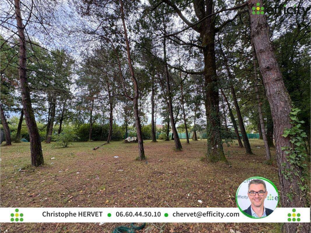 Terrain 1043 m² à Dirac  - photo 4