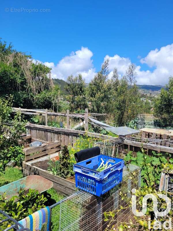 Photo 7 - Maison à SAINT-PIERRE