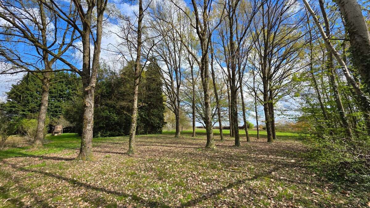 Maison à SAINT-ETIENNE-EN-BRESSE