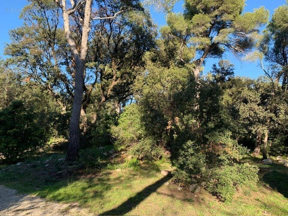 Terrain à MARTIGUES