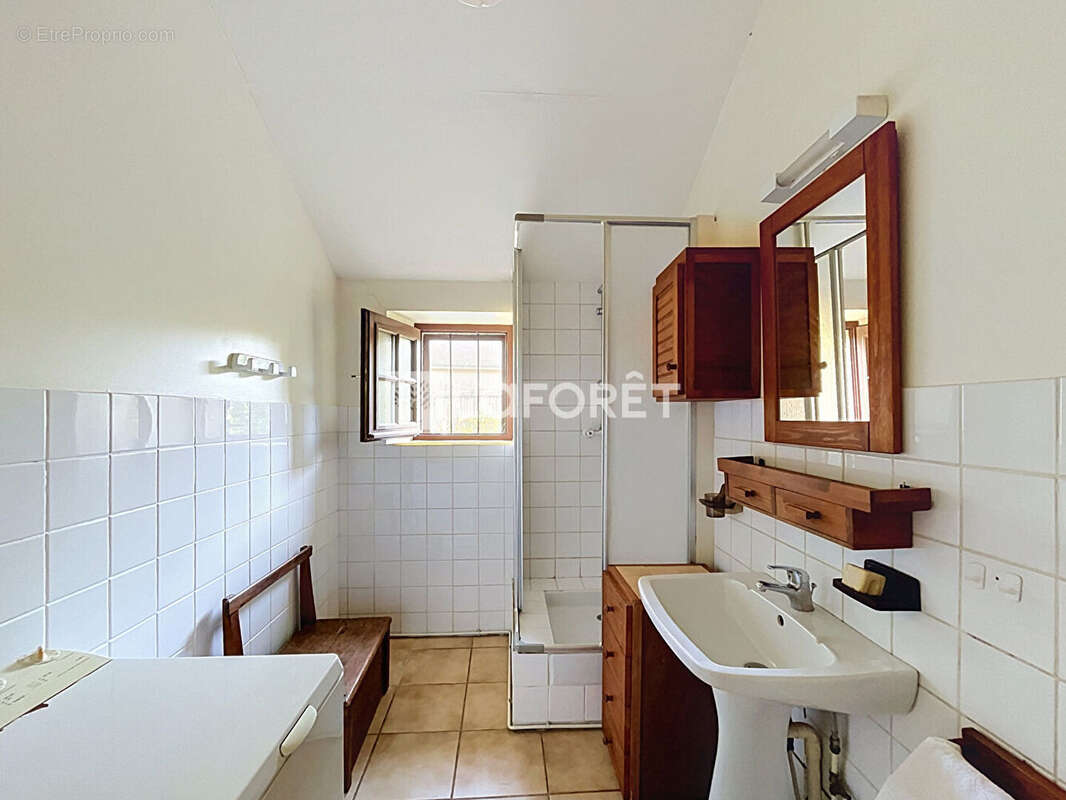 Maison Allaire 7 pièce(s) 202 m2 - photo 6