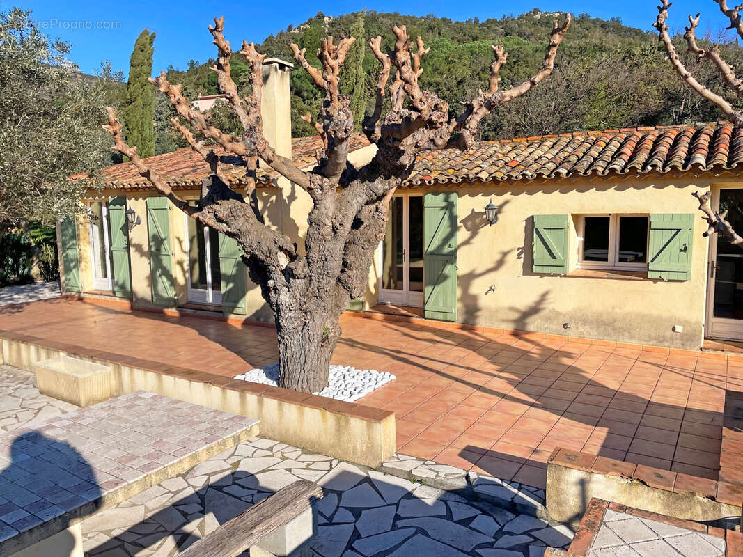 Maison à PLAN-DE-LA-TOUR