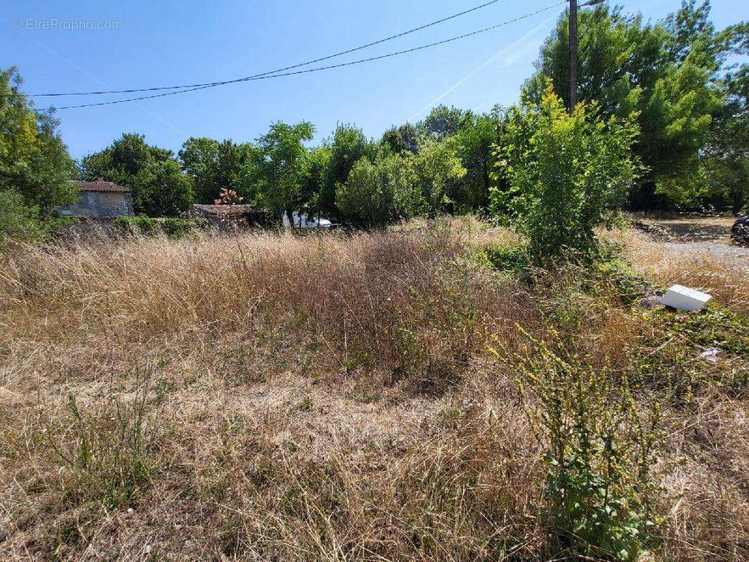 Terrain à SAINT-JEAN-D&#039;ANGELY