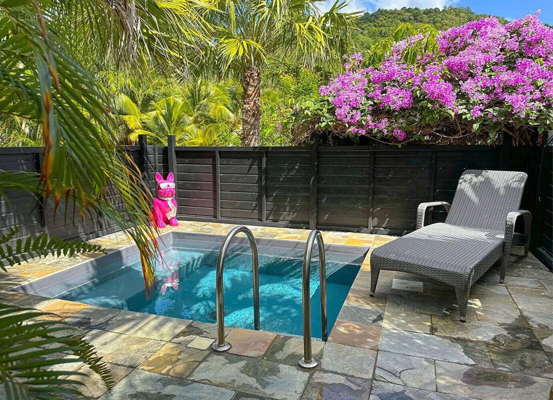 Villa Sud Ouest Martinique - photo 12