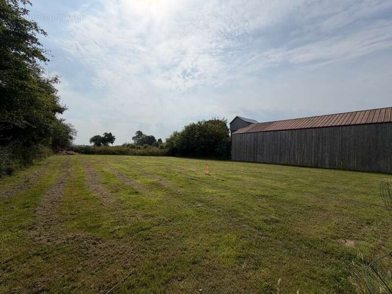 À quelques minutes de Périers – Propriété avec habitation familiale, hangar professionnel et bureaux sur 4 104 m² (50) - photo 6