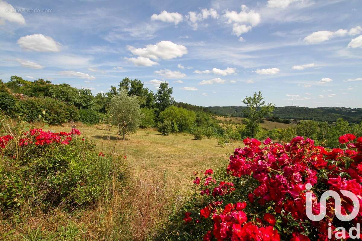 Photo 8 - Maison à LE BUGUE