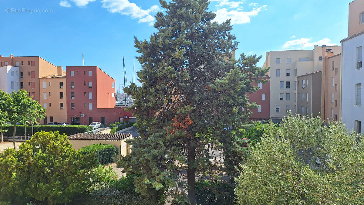 LE CAP D'AGDE - PORT - Grand T2 traversant exposé SUD avec Loggia et Parking privé - photo 2