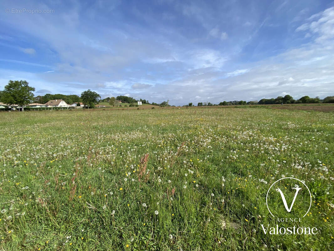 Terrain à MIRAMONT-SENSACQ