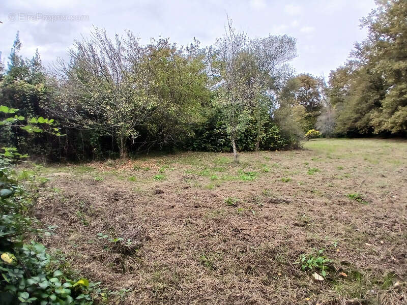 Terrain à CREON