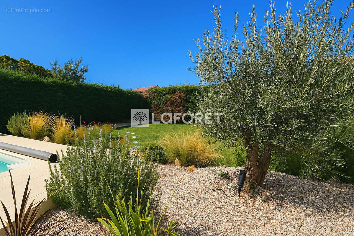 Maison Laroque Des Albères 9 pièces 230 m2 - photo 2