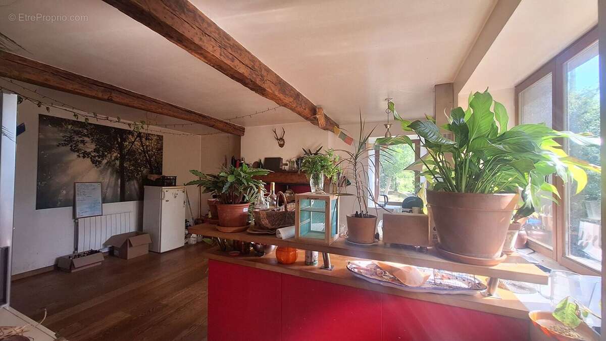 Ancien corps de ferme  T4 /5 sur 5500m² de terrain - photo 6