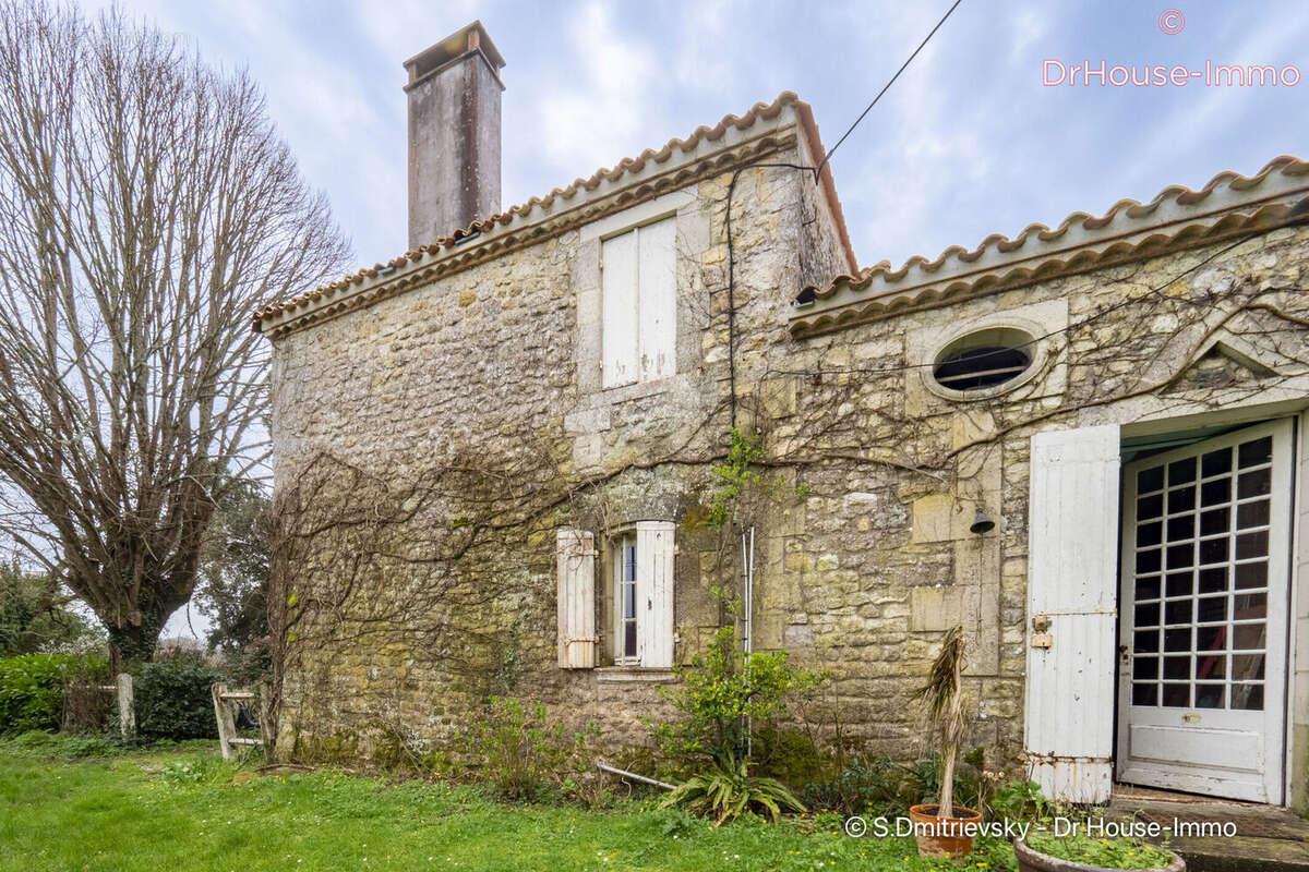 Maison 800 m² à Saint-Vivien-De-Medoc  - photo 19