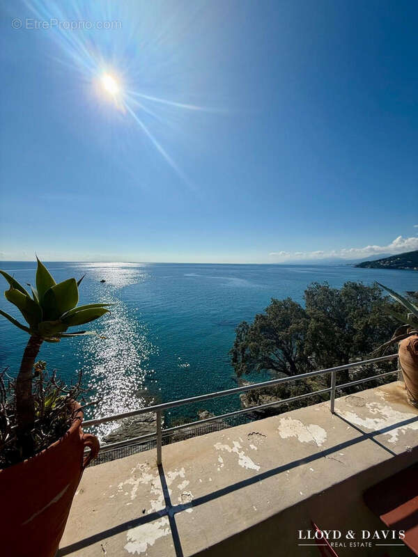 roof top  - Appartement à BRANDO