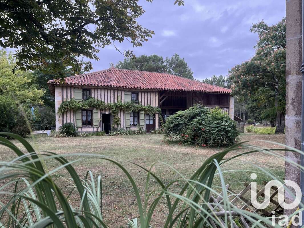 Maison 729 m² à Losse  - photo 6