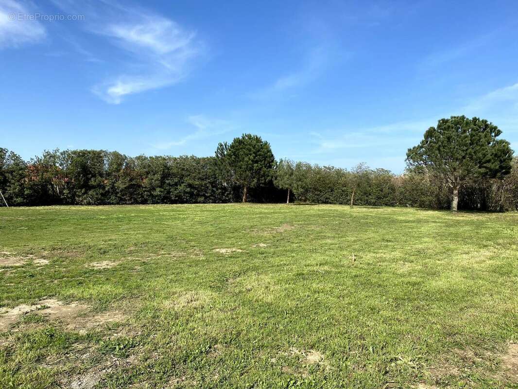 Photo 3 - Terrain à ELNE