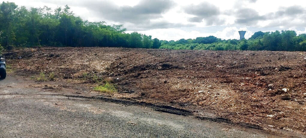 Terrain à LE MOULE