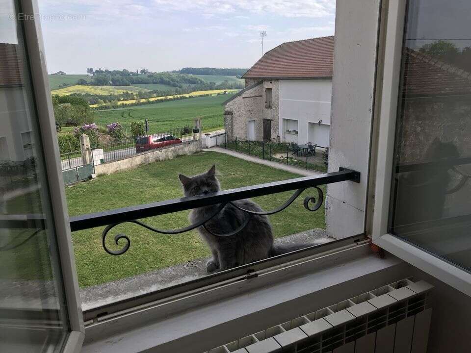 Appartement à LA CHAPELLE-MOUTILS