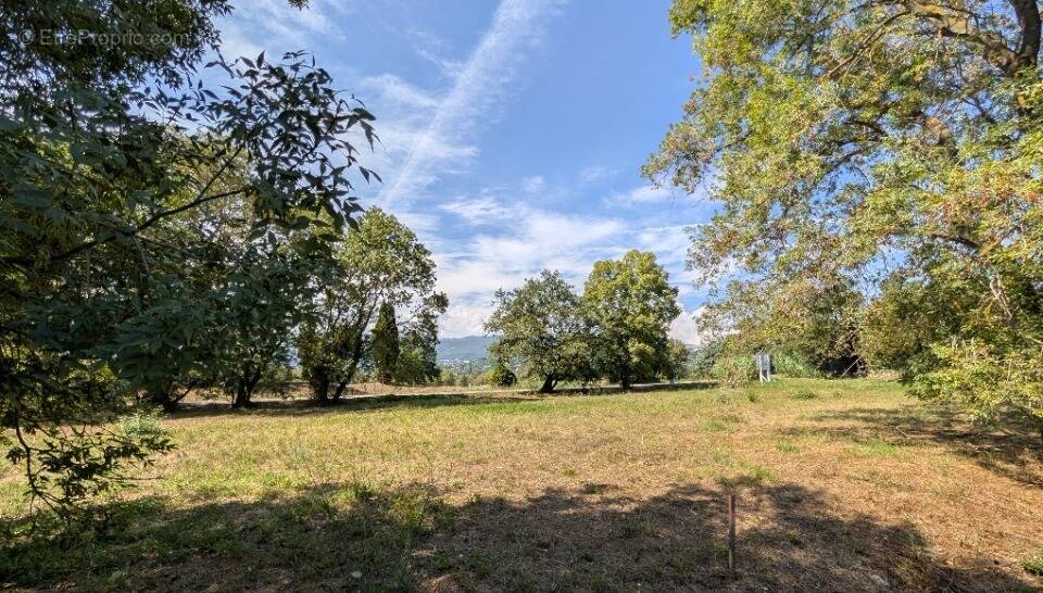 Terrain à CHATEAUNEUF-GRASSE