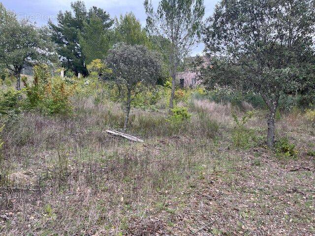 Terrain à LA BASTIDONNE