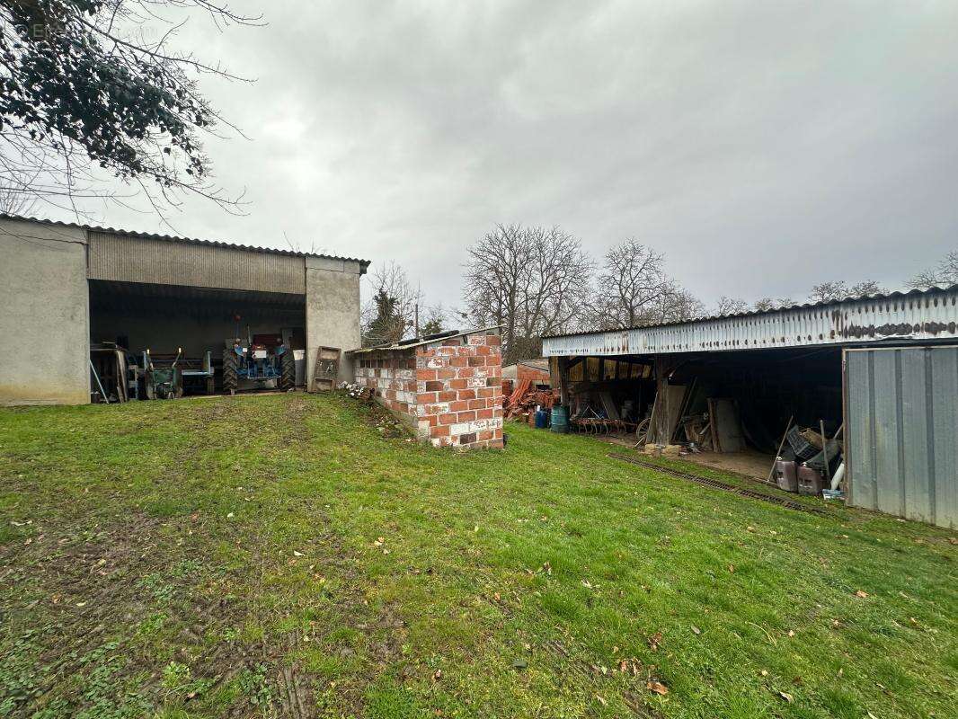 Double Hangar - photo 11