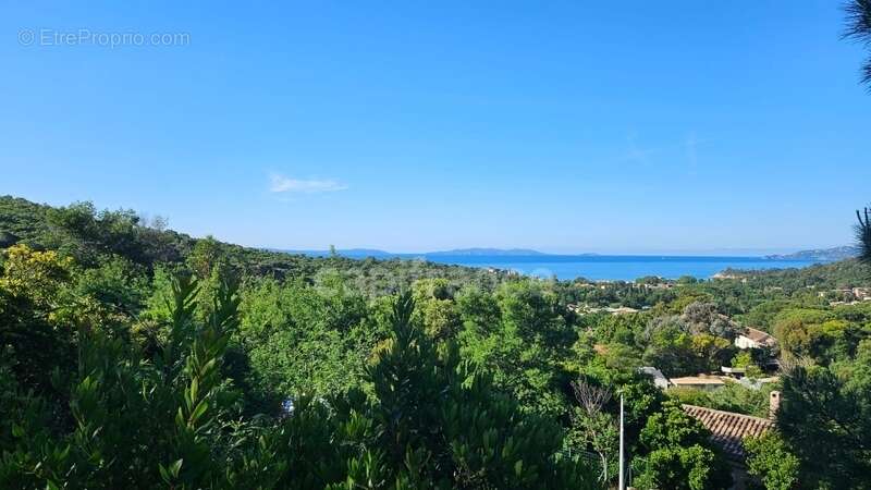 Terrain à LE LAVANDOU