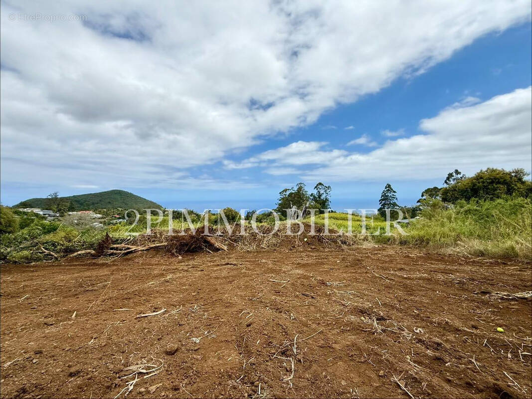 Terrain à SAINT-PIERRE