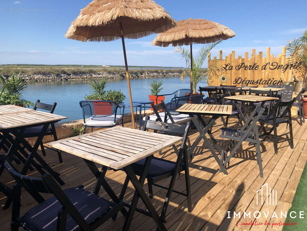 Commerce à FRONTIGNAN